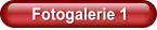 Fotogalerie 1