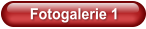 Fotogalerie 1