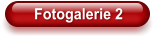Fotogalerie 2