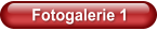 Fotogalerie 1